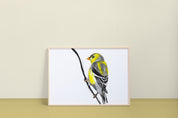 American Goldfinch Art Print