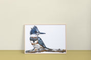 Belted Kingfisher Art Print