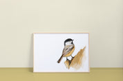 Black Capped Chickadee Art Print