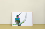 Brazilian Ruby Hummingbird Art Print