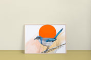 California Scrub-Jay Art Print