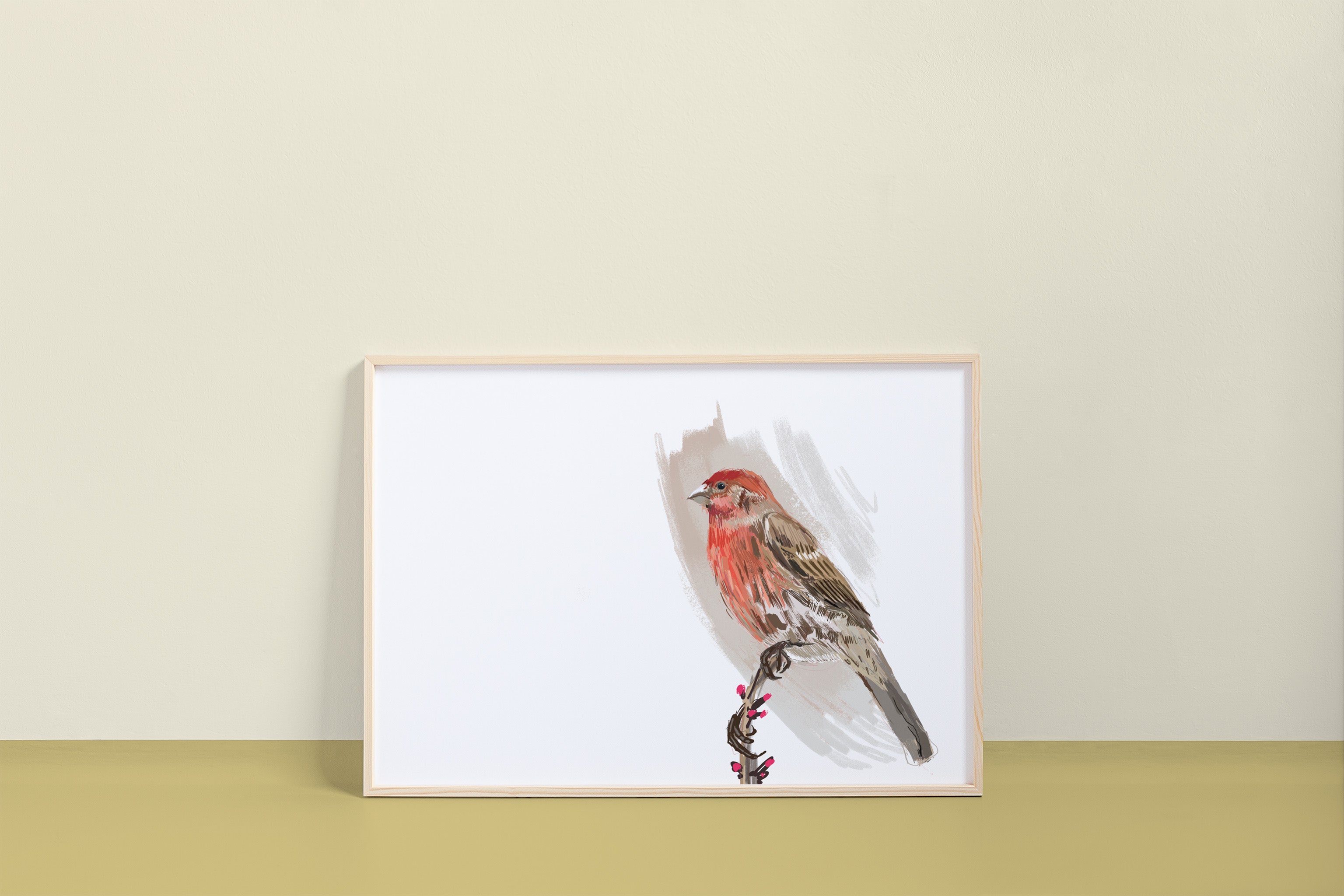 House Finch Art Print