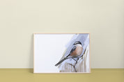 Masked Shrike Art Print