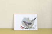 Northern Mockingbird (2025) Art Print