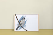 Tufted Titmouse (2025) Art Print