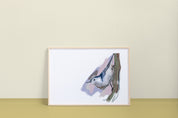 White-breasted Nuthatch (2025) Art Print