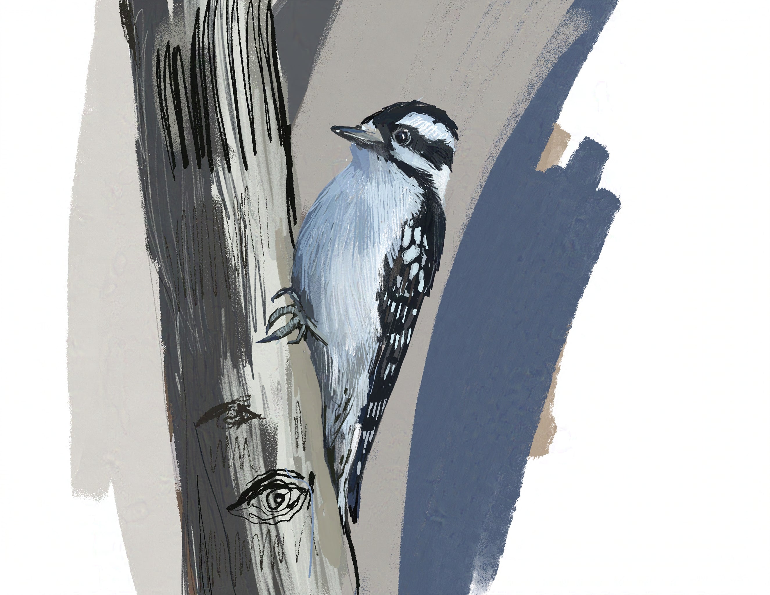 Downey Woodpecker Art Print