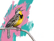Eastern Meadowlark Art Print