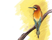 European Bee-eater Art Print