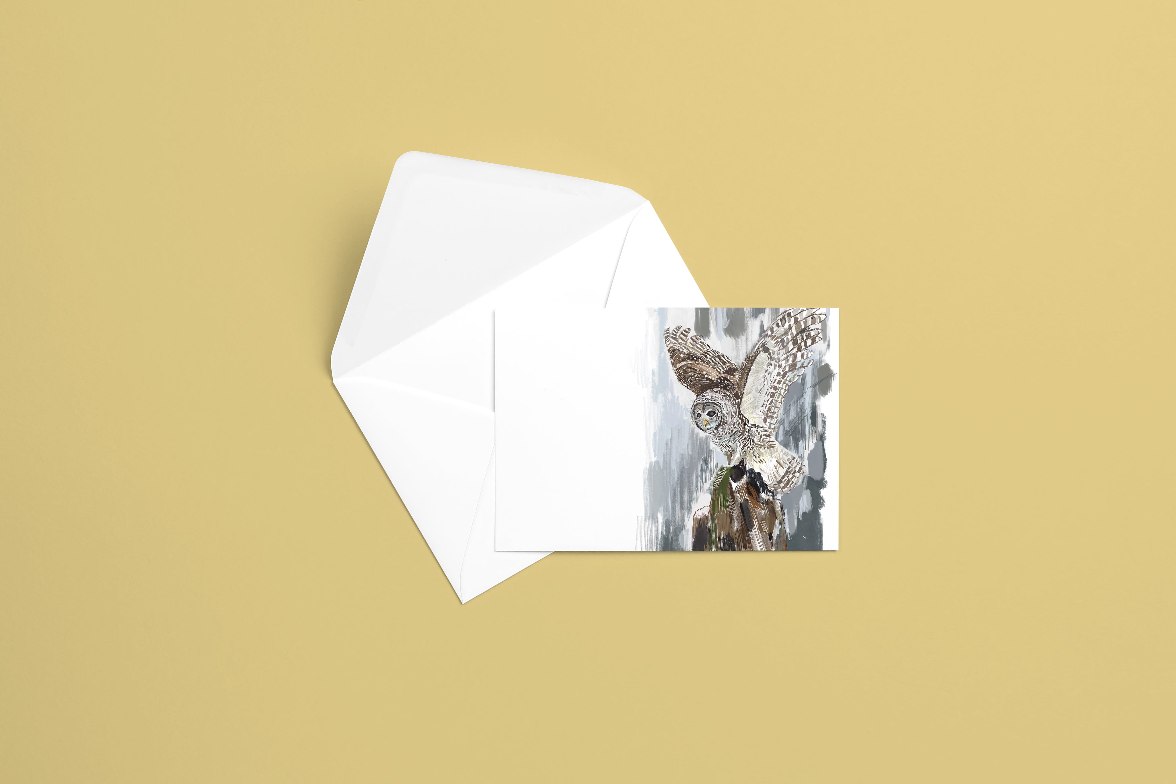 Barred Owl Greeting Card