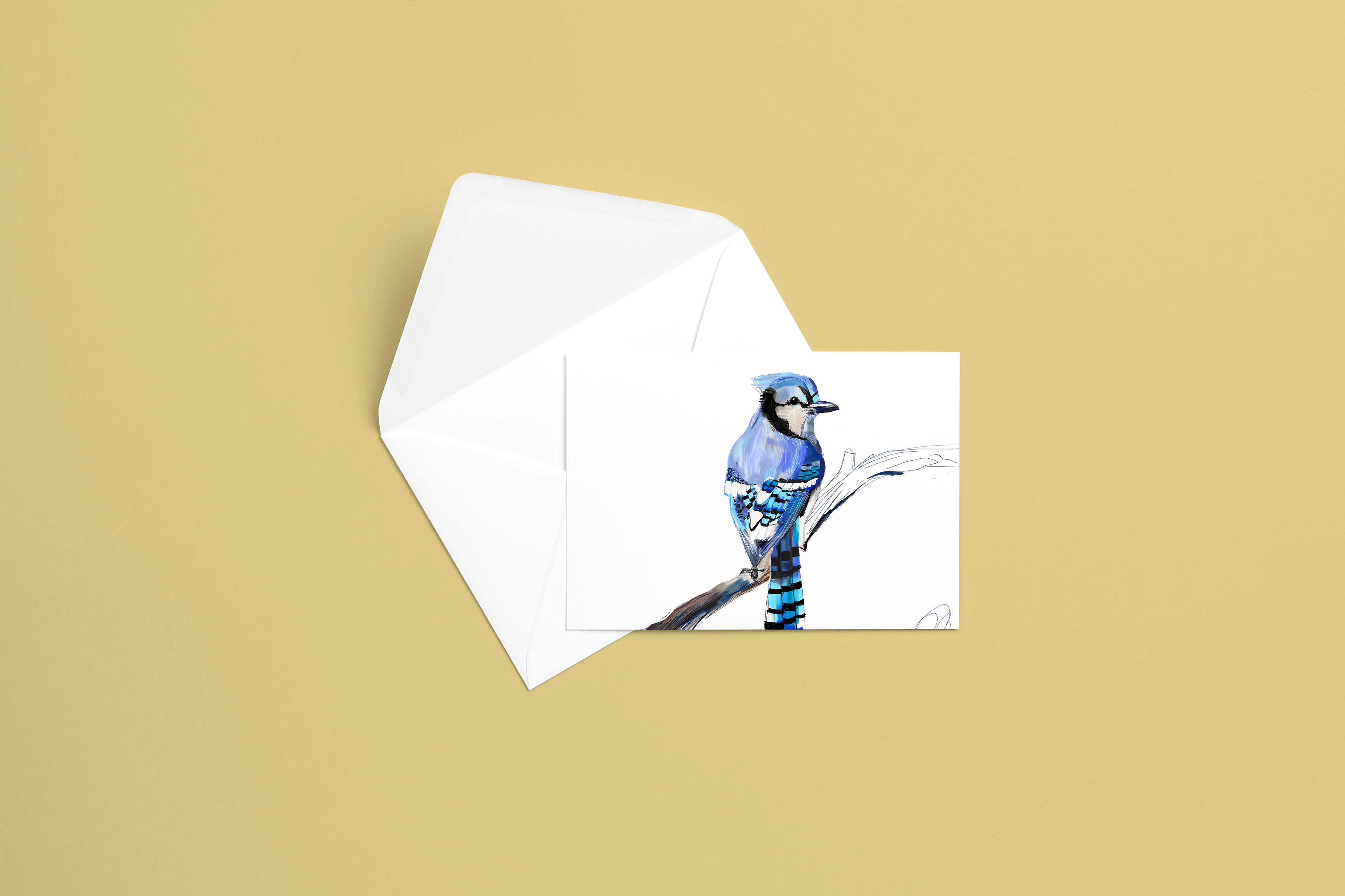 Blue Jay Greeting Card