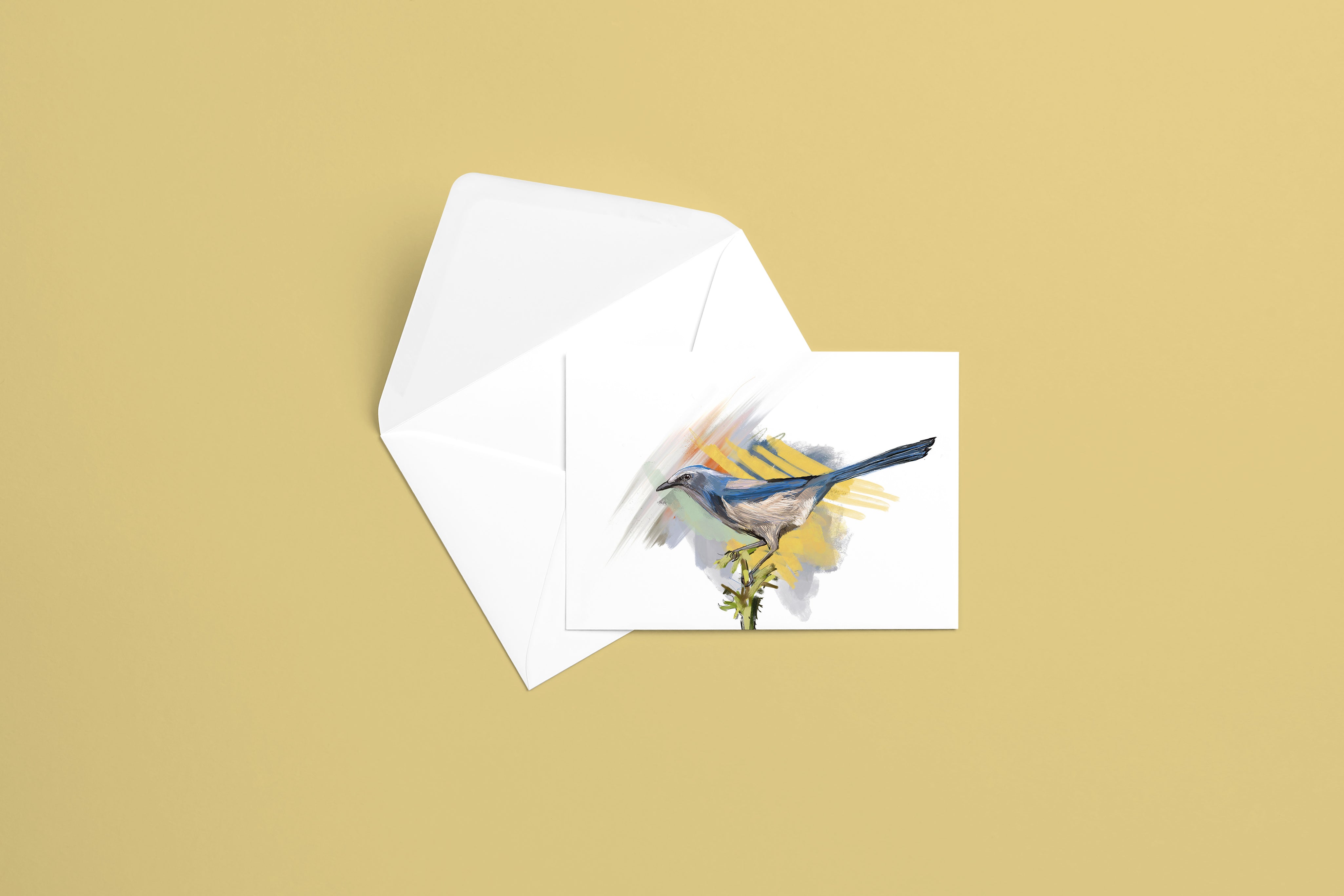 Florida Scrub-Jay Greeting Card