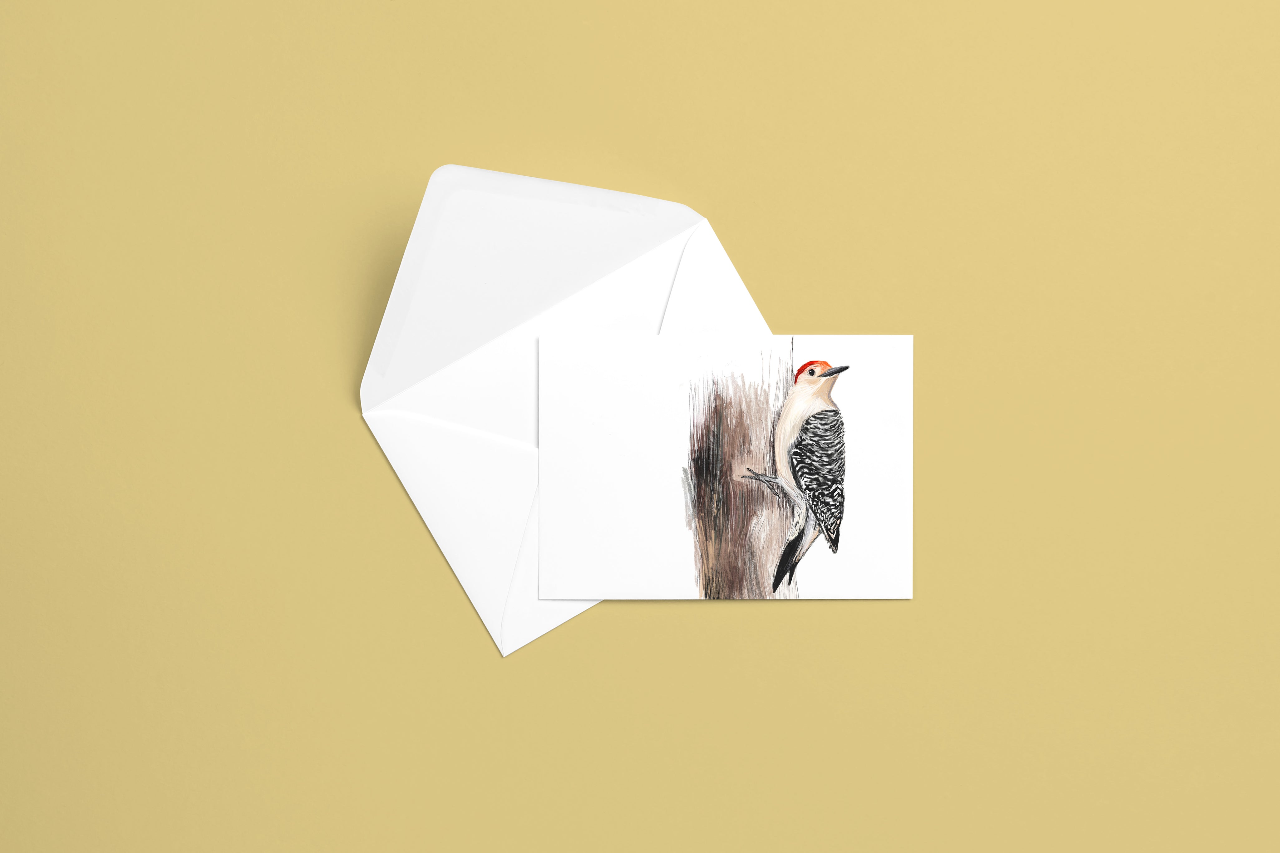 Red-bellied Woodpecker Greeting Card