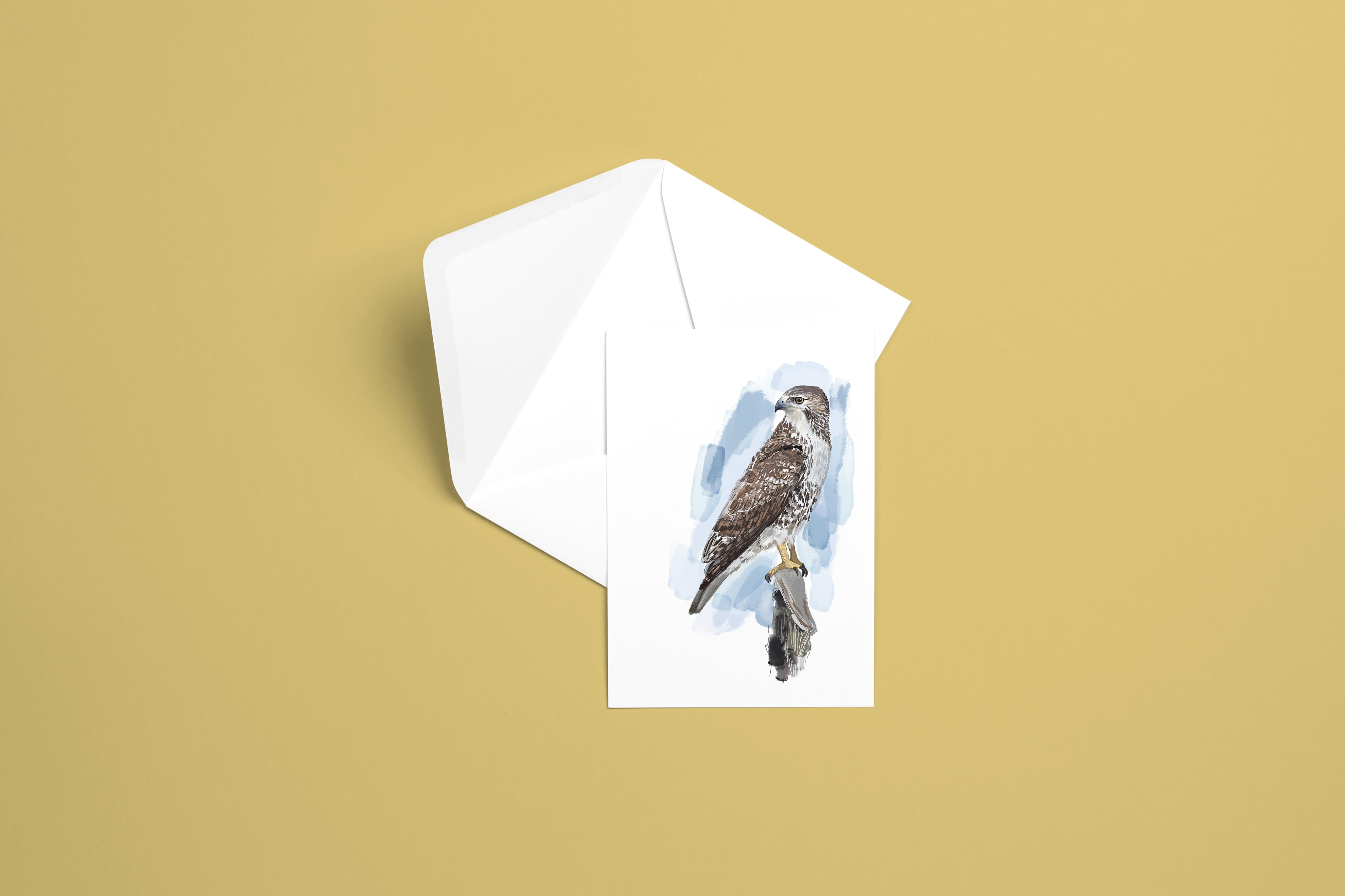 Red-tailed Hawk Greeting Card