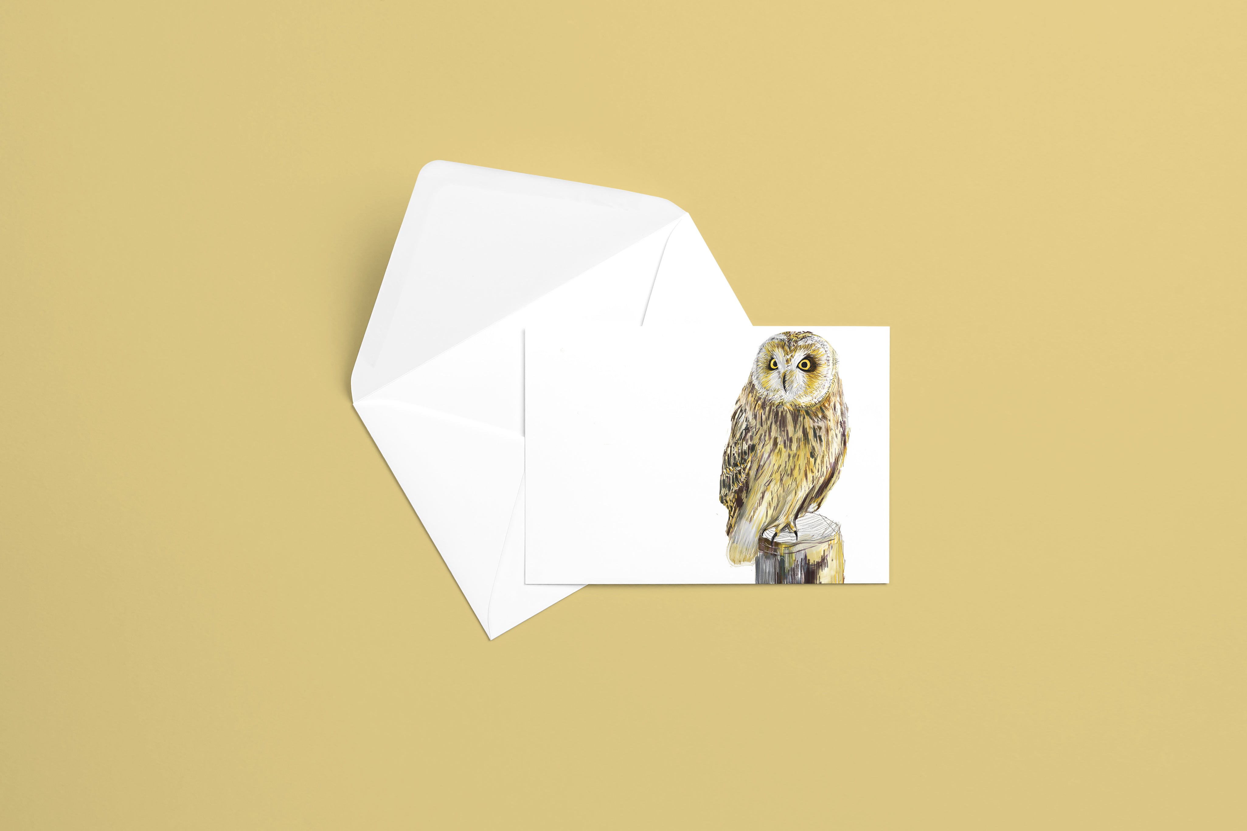 Short-eared Owl Greeting Card