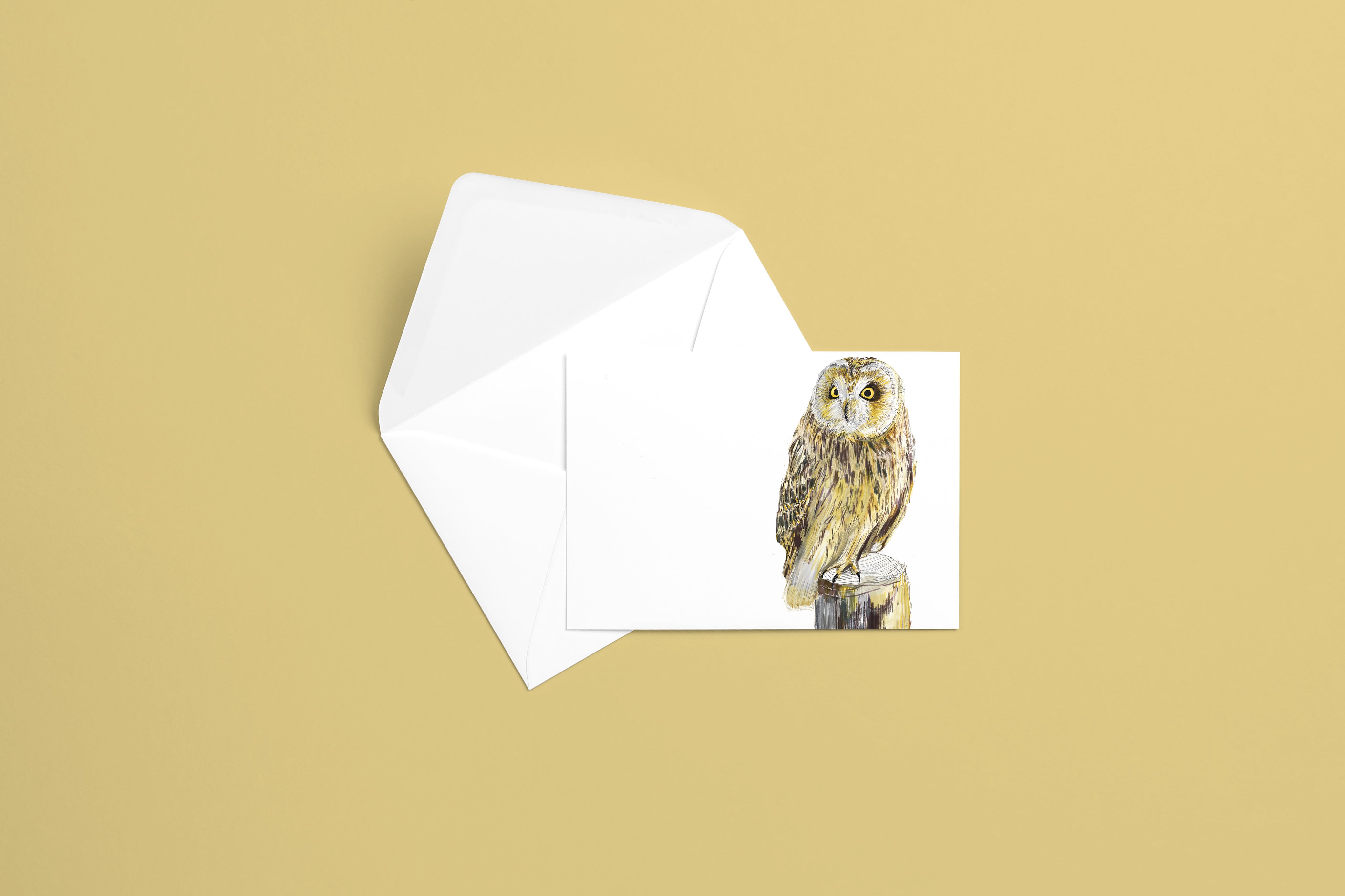 resetreality_greetingcard_short-eared-owl_mockup.jpg