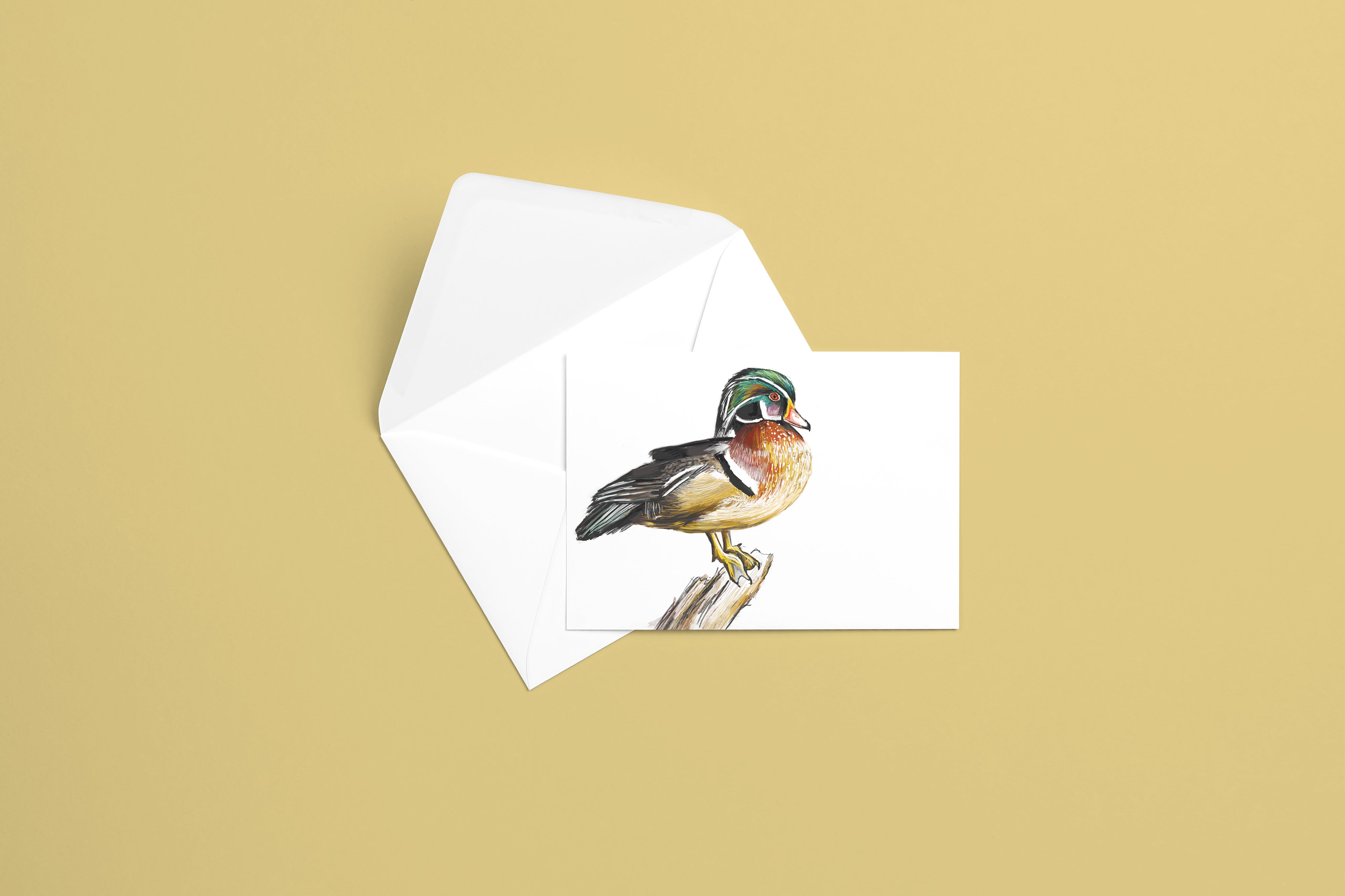Wood Duck Greeting Card
