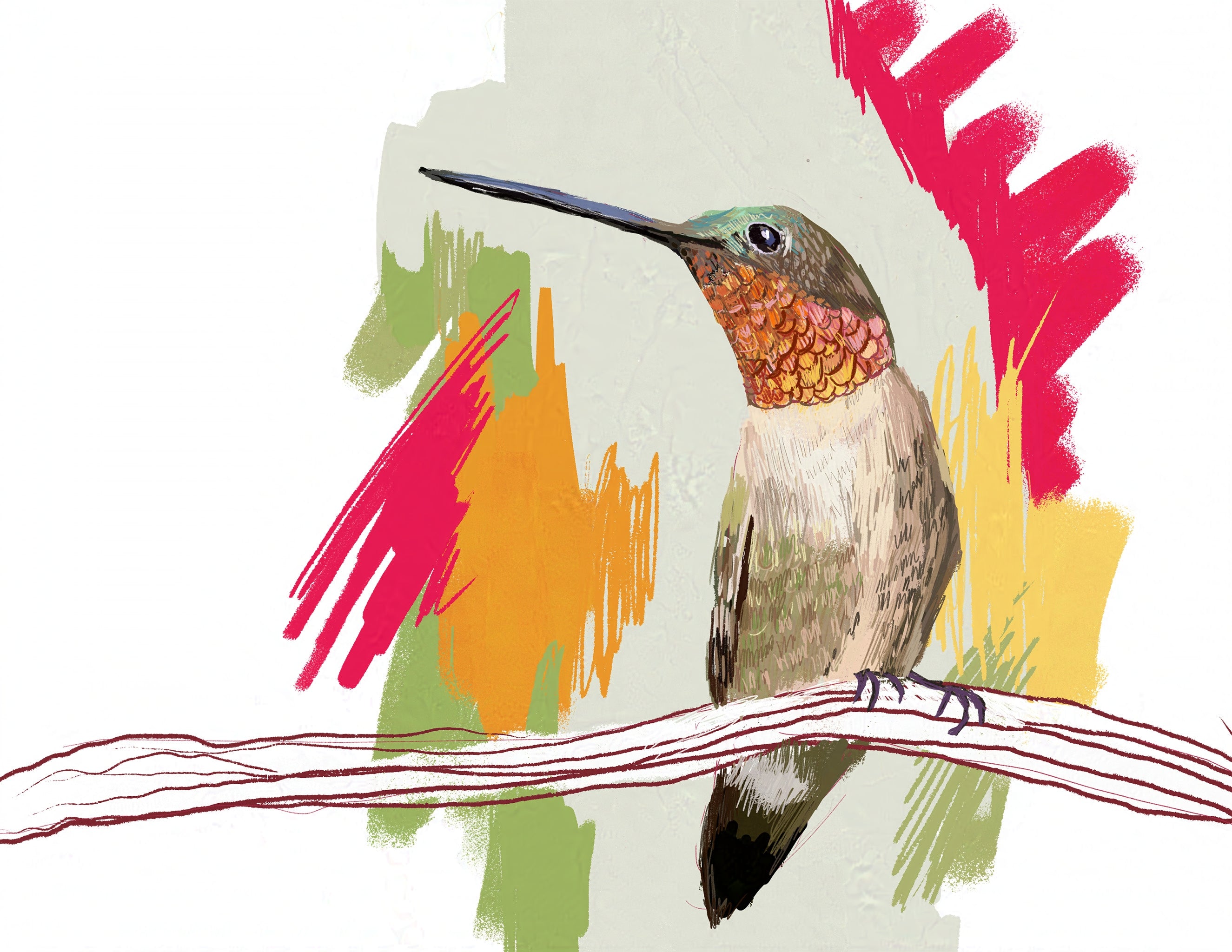 Ruby-throated Hummingbird Art Print