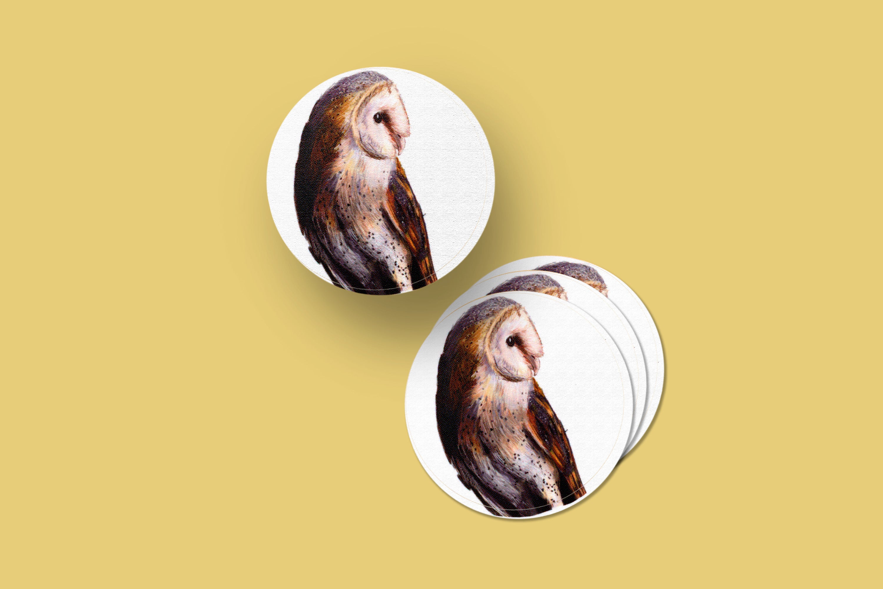 Bird Stickers: Variety Surprise Pack of Two Sheets (8 stickers)