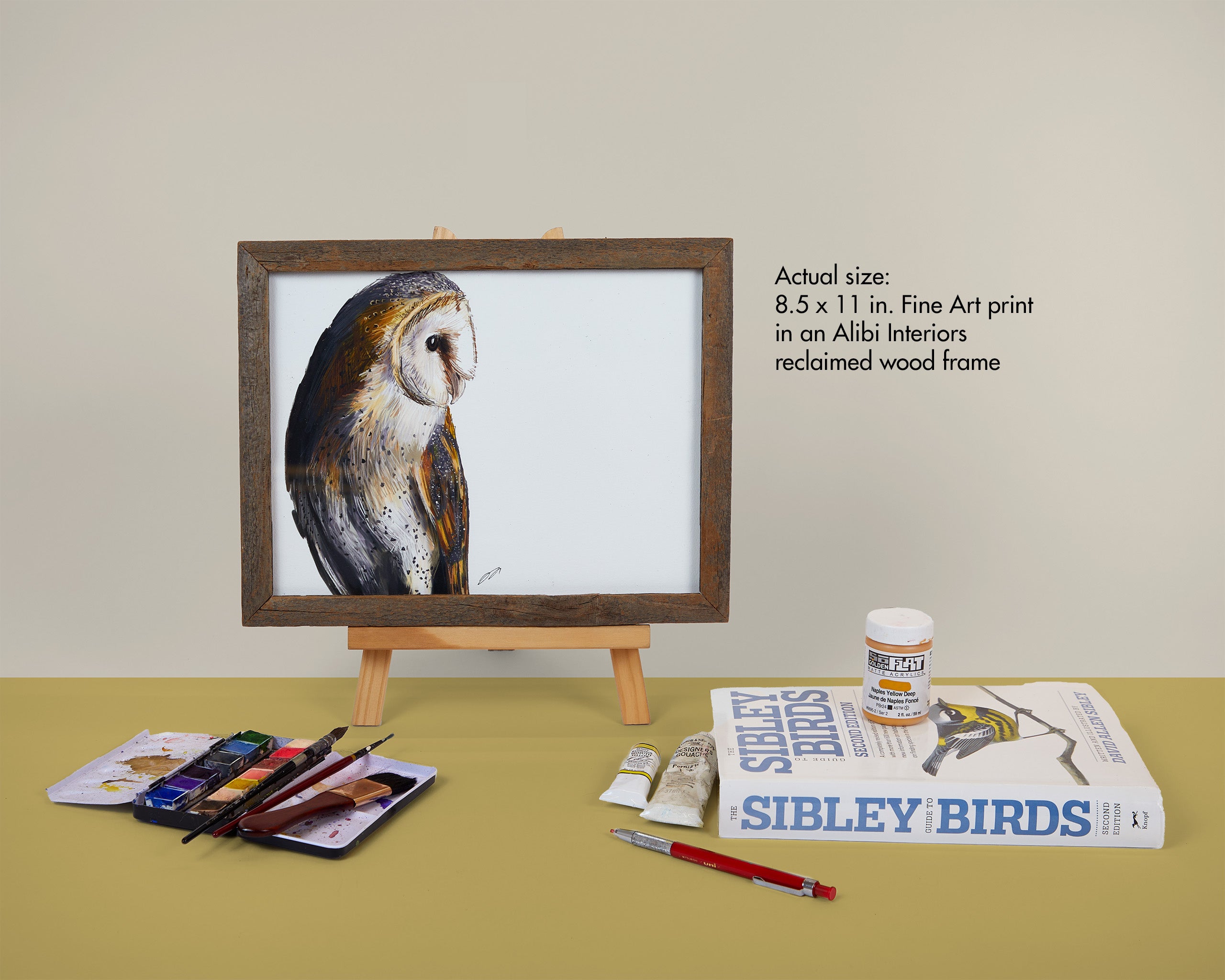 African Darter Art Print