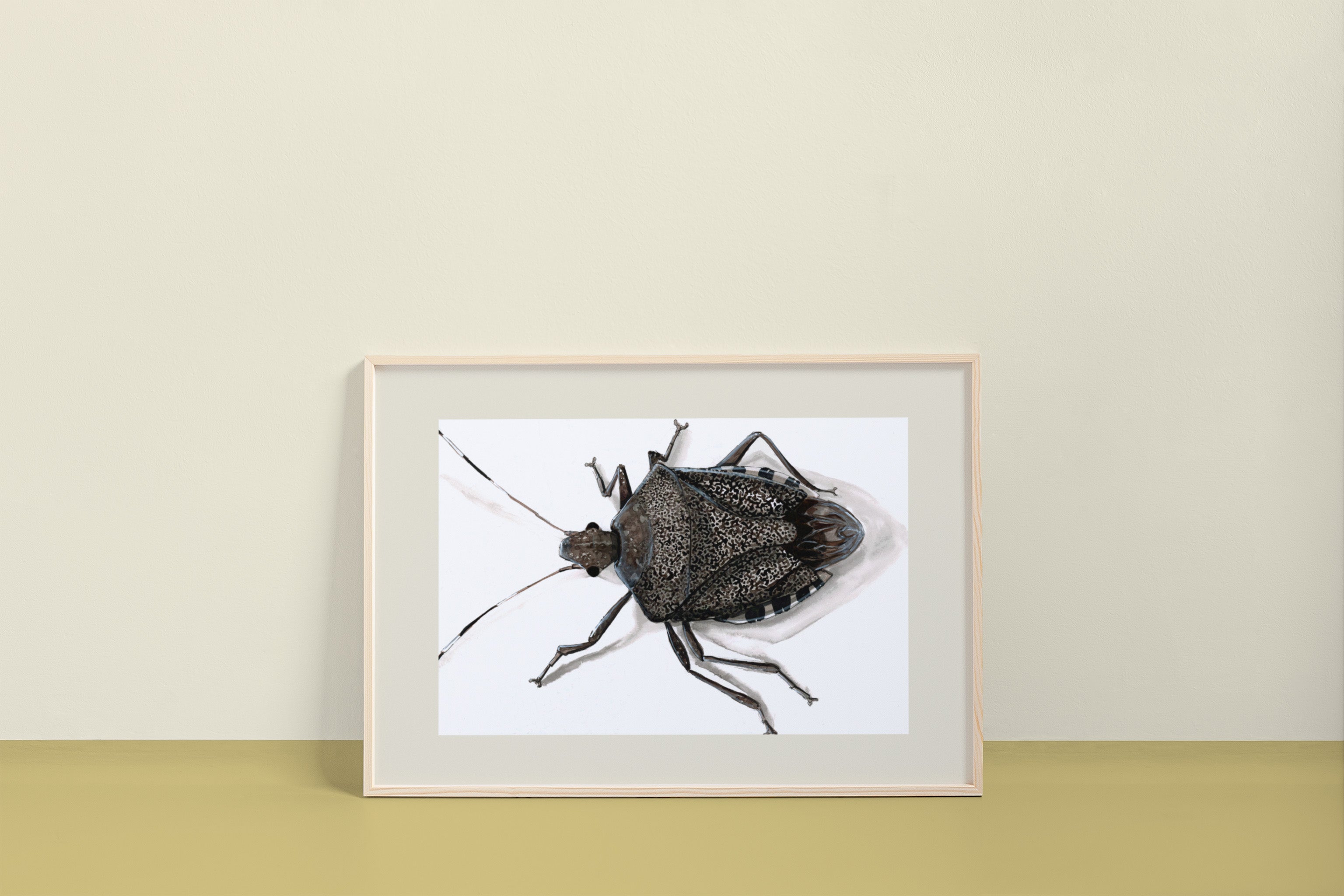 Brown Marmorated Stink Bug (Halyomorpha halys) Art Print