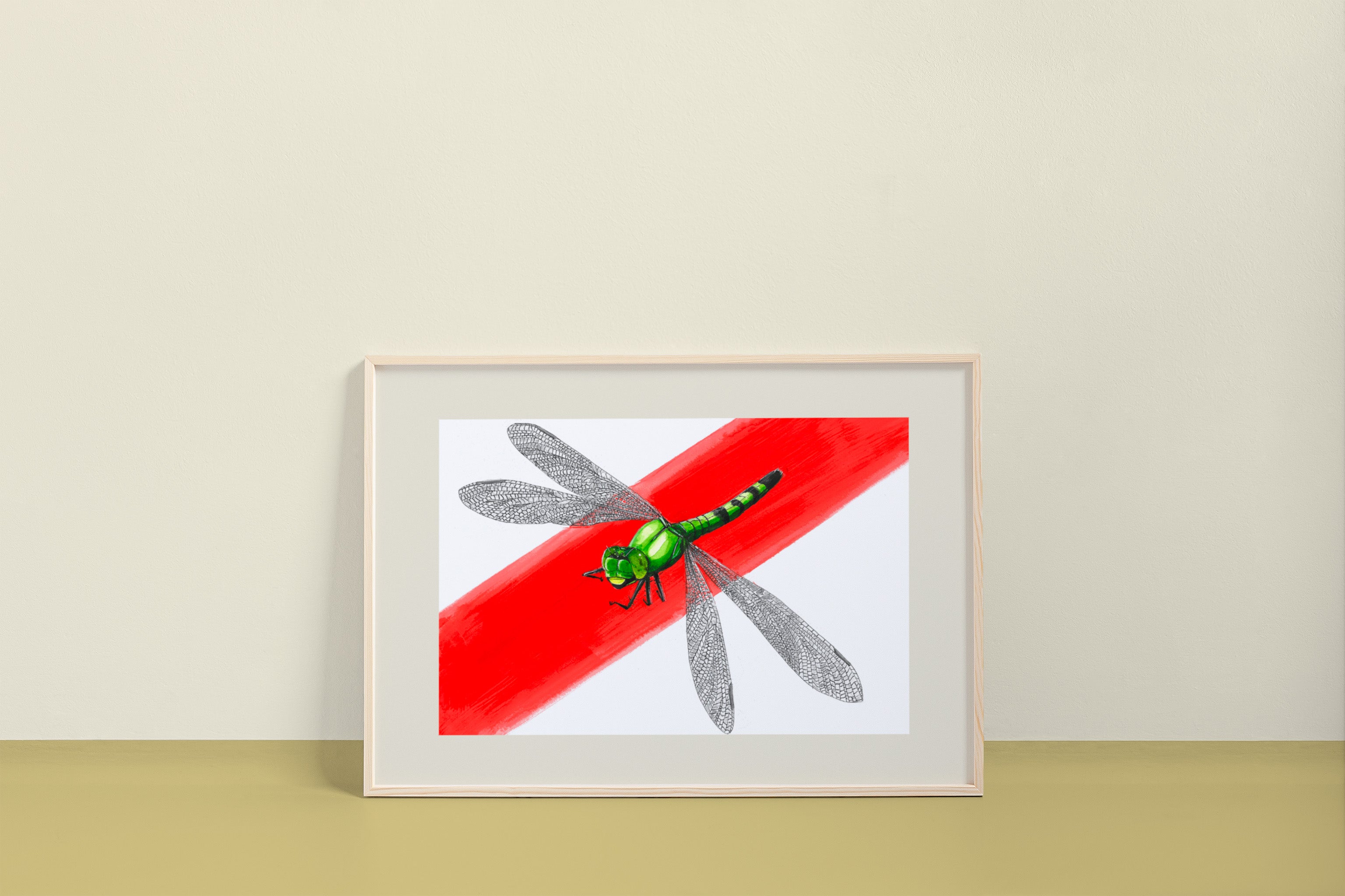 Eastern Pondhawk (Erythemis simplicicollis)