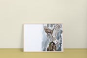 Barred Owl Art Print