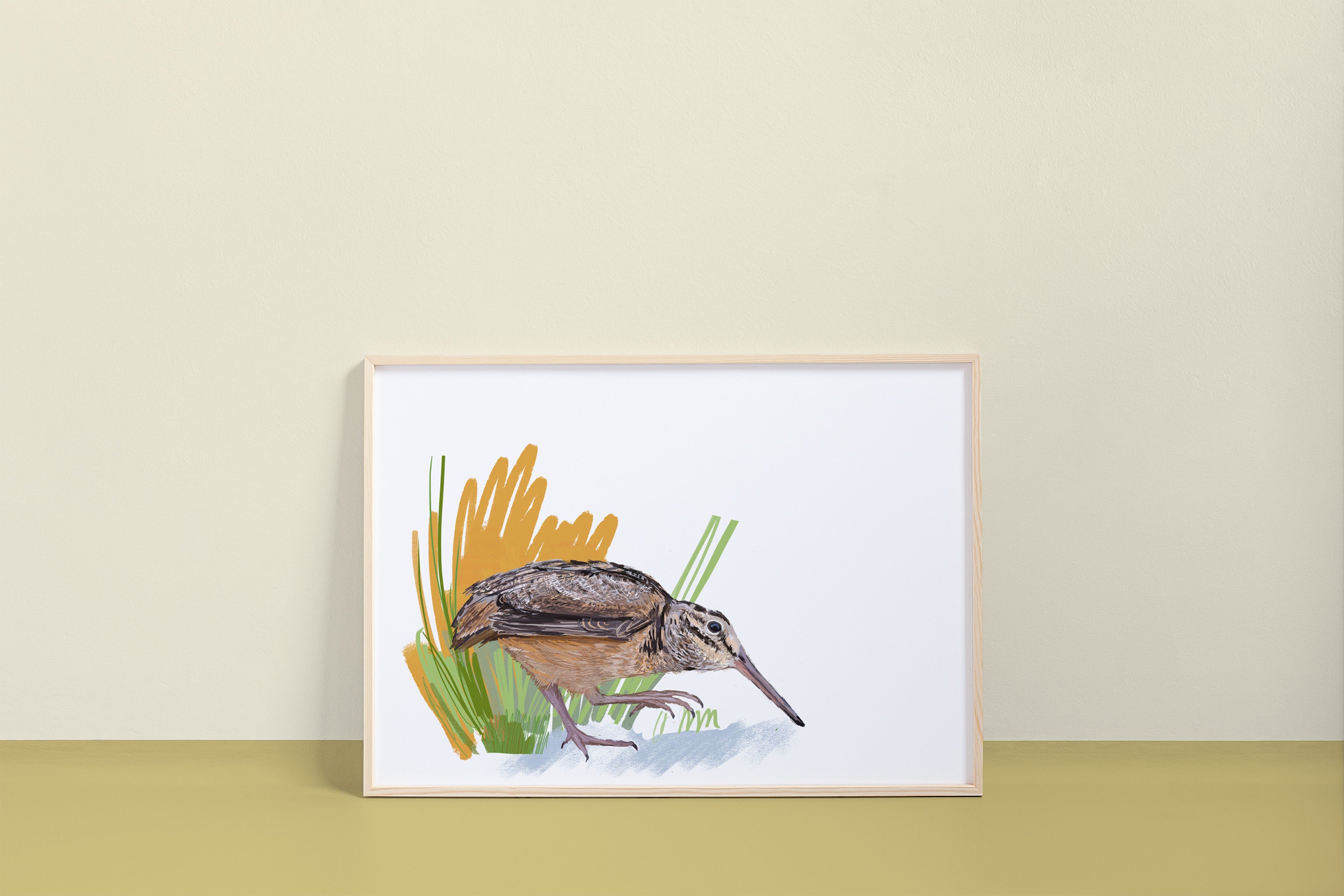 American Woodcock Art Print