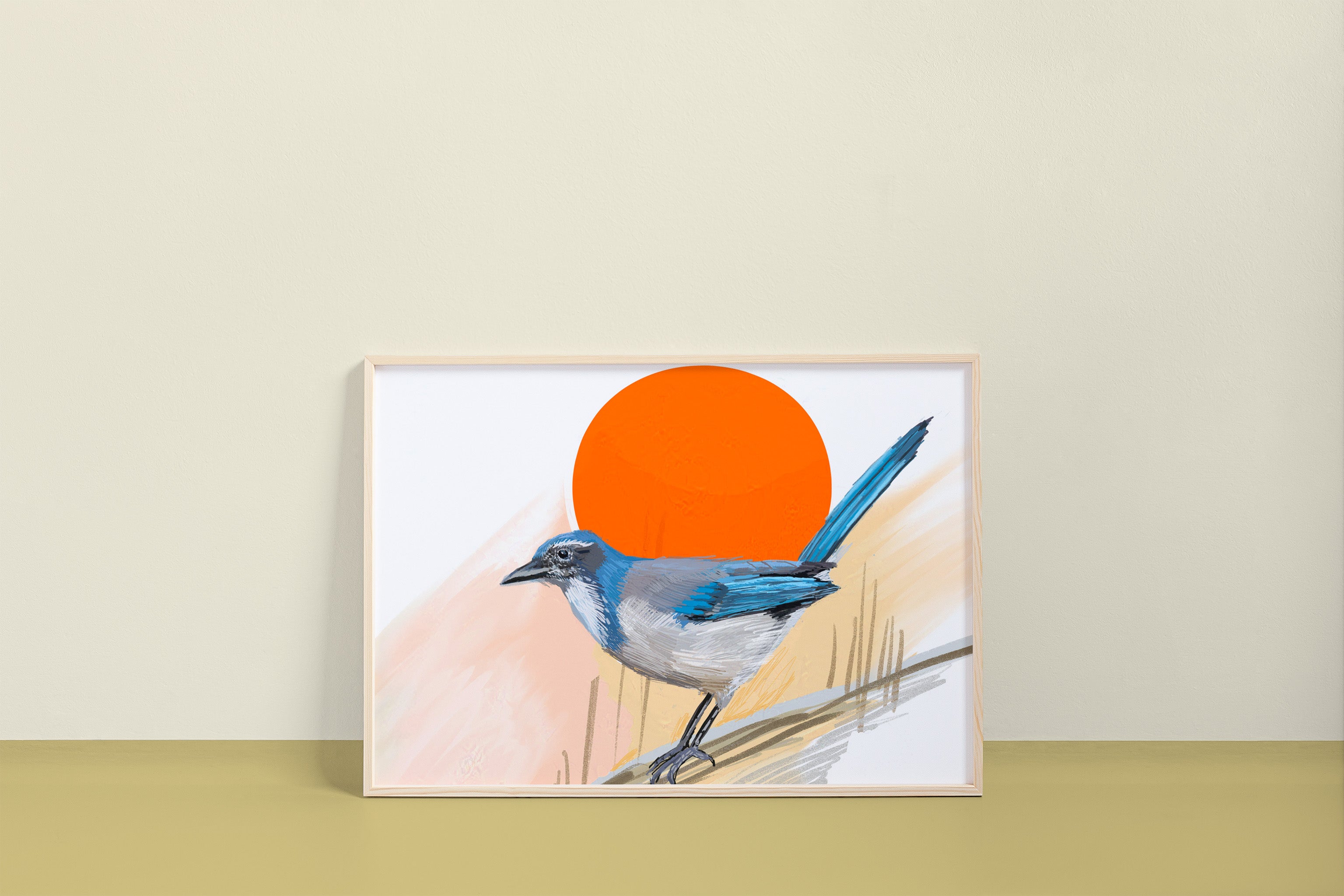 California Scrub-Jay Art Print
