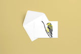 American Goldfinch Greeting Card