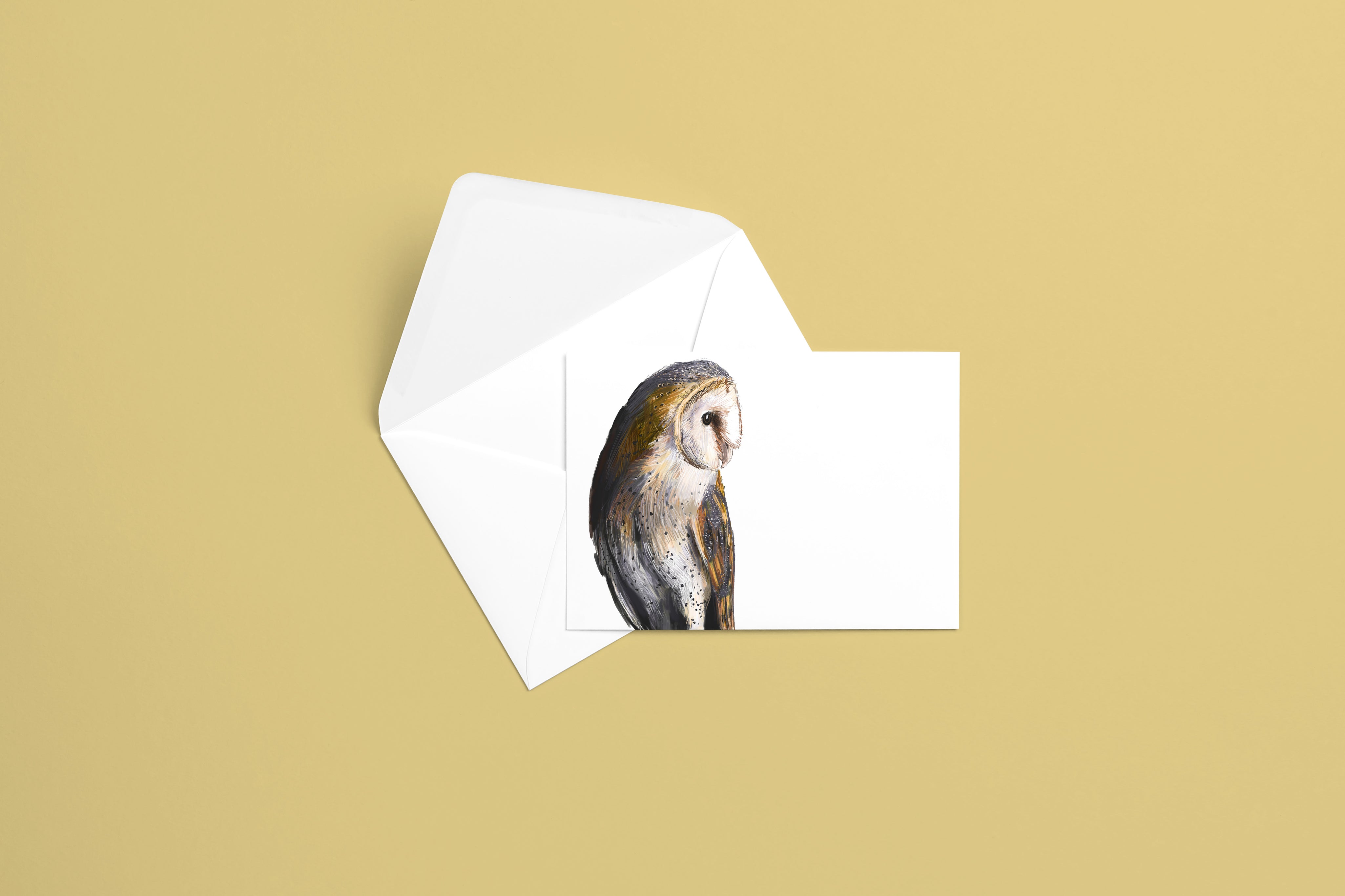 Barn Owl Greeting Card