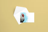 Iowa Blue Chicken Greeting Card