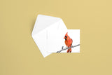 Northern Cardinal (2014) Greeting Card