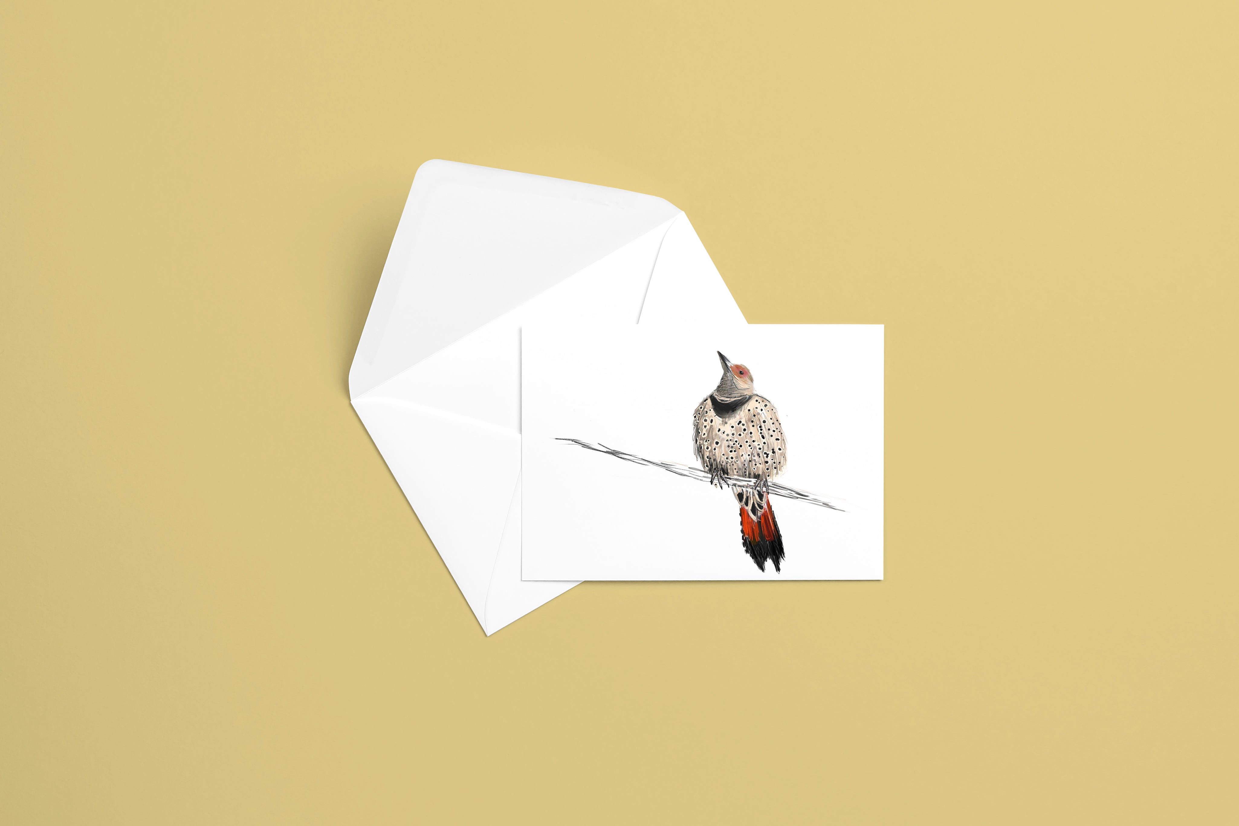 Northern Flicker Greeting Card